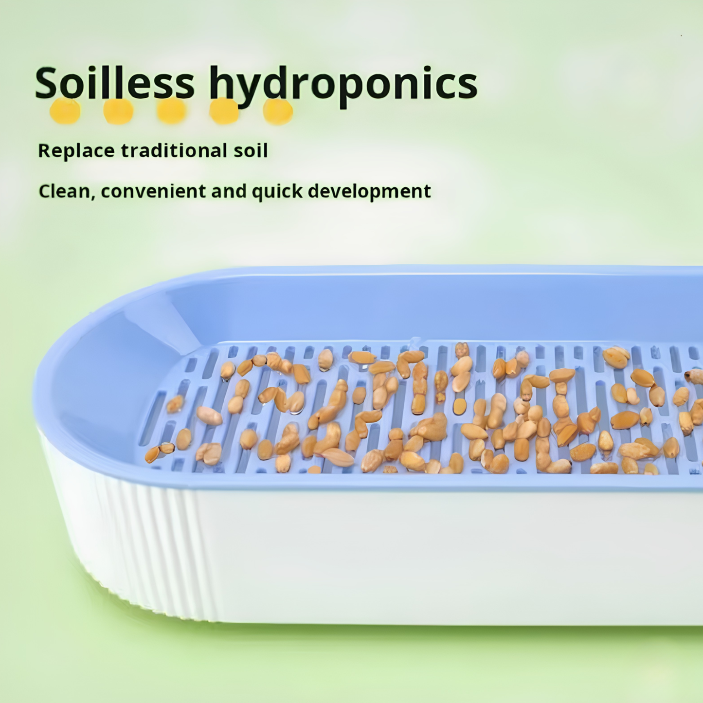 Hydroponic Cat Grass Box