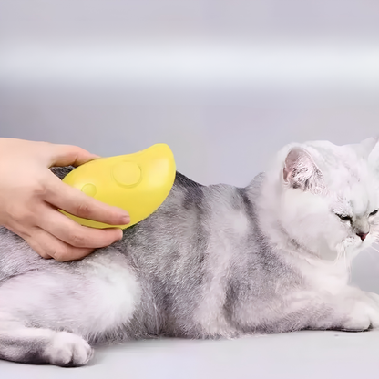 Steamy Cat Brush