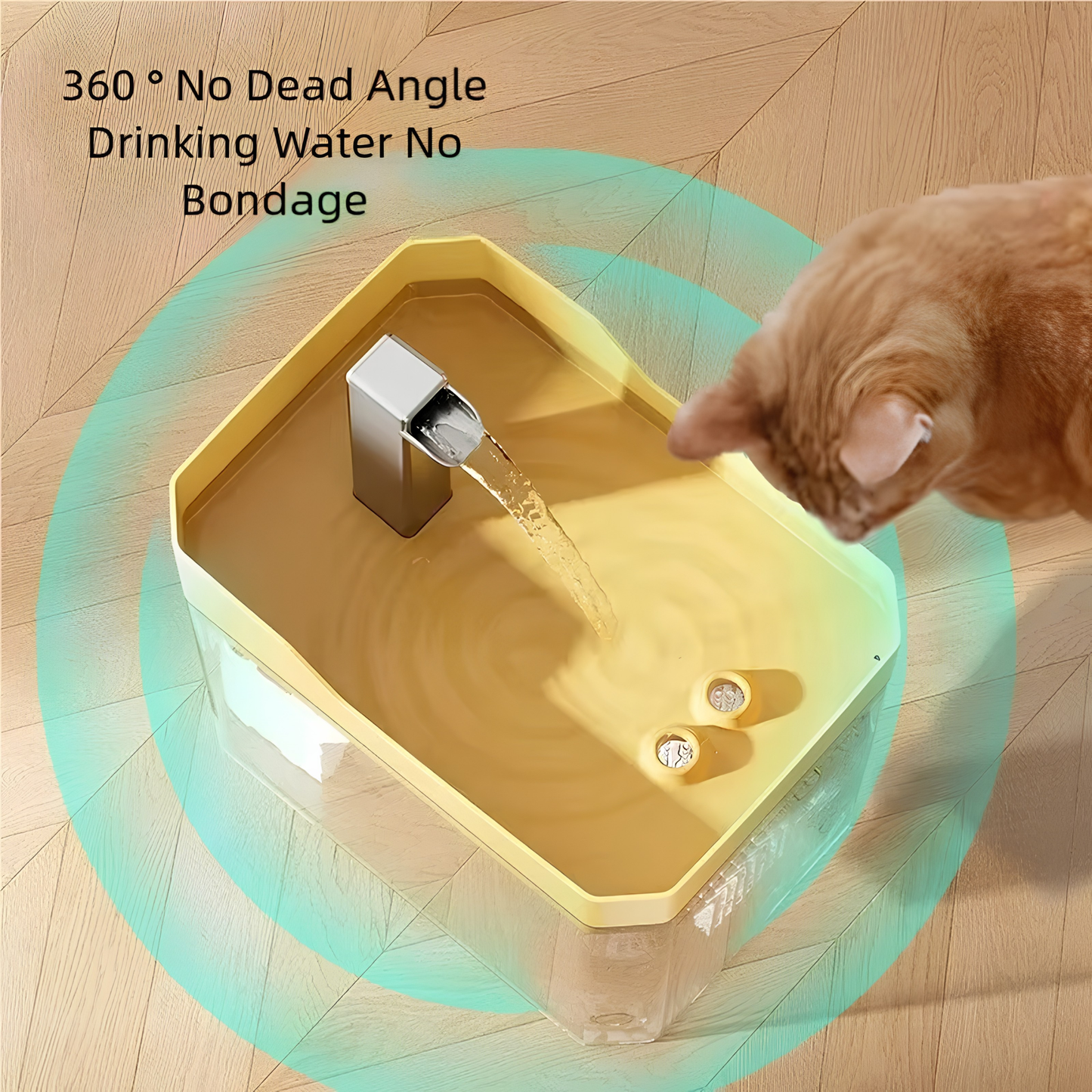 Cat Water Dispenser